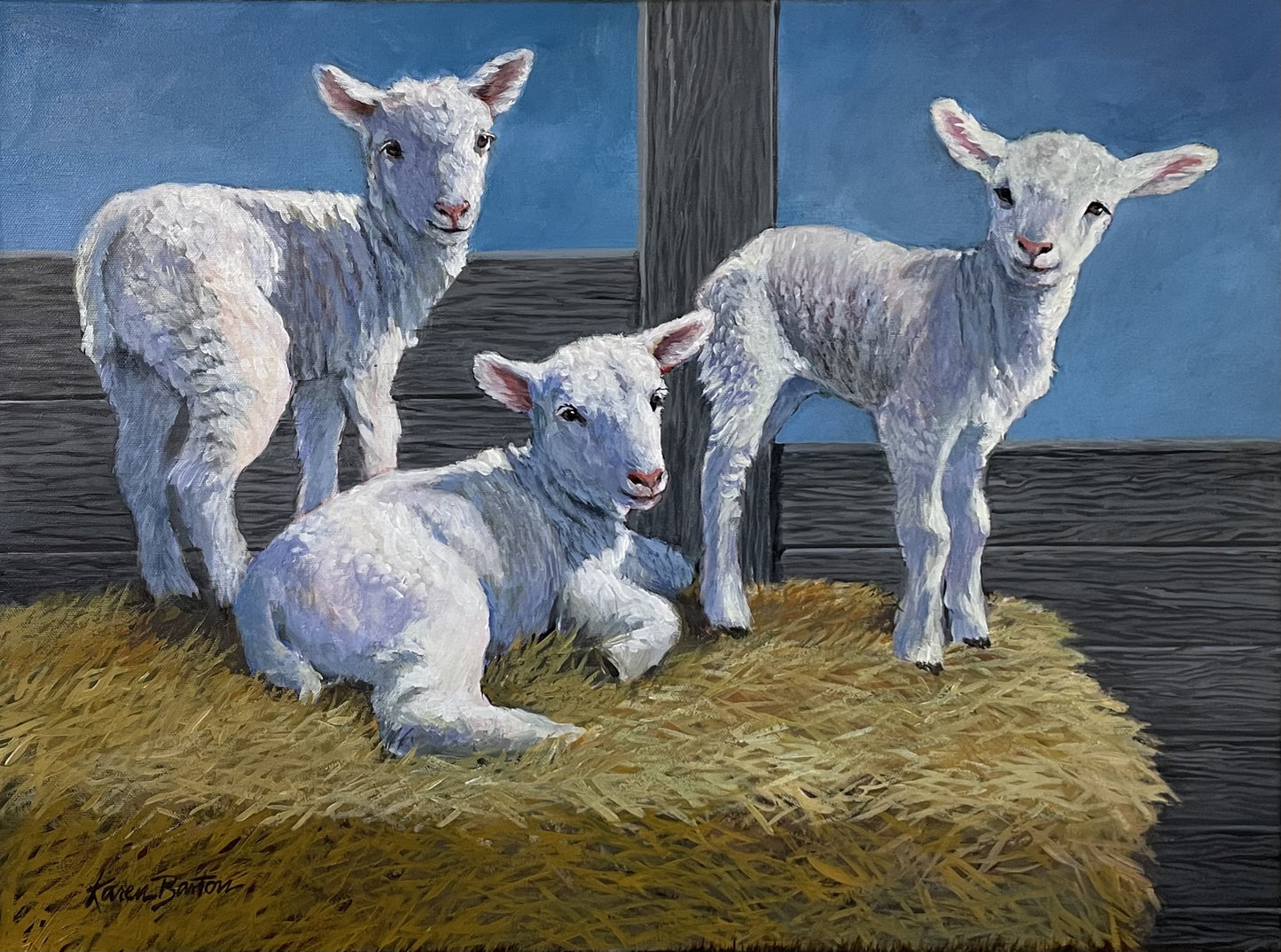 5X7 Colorful Wildlife Western Greeting Cards