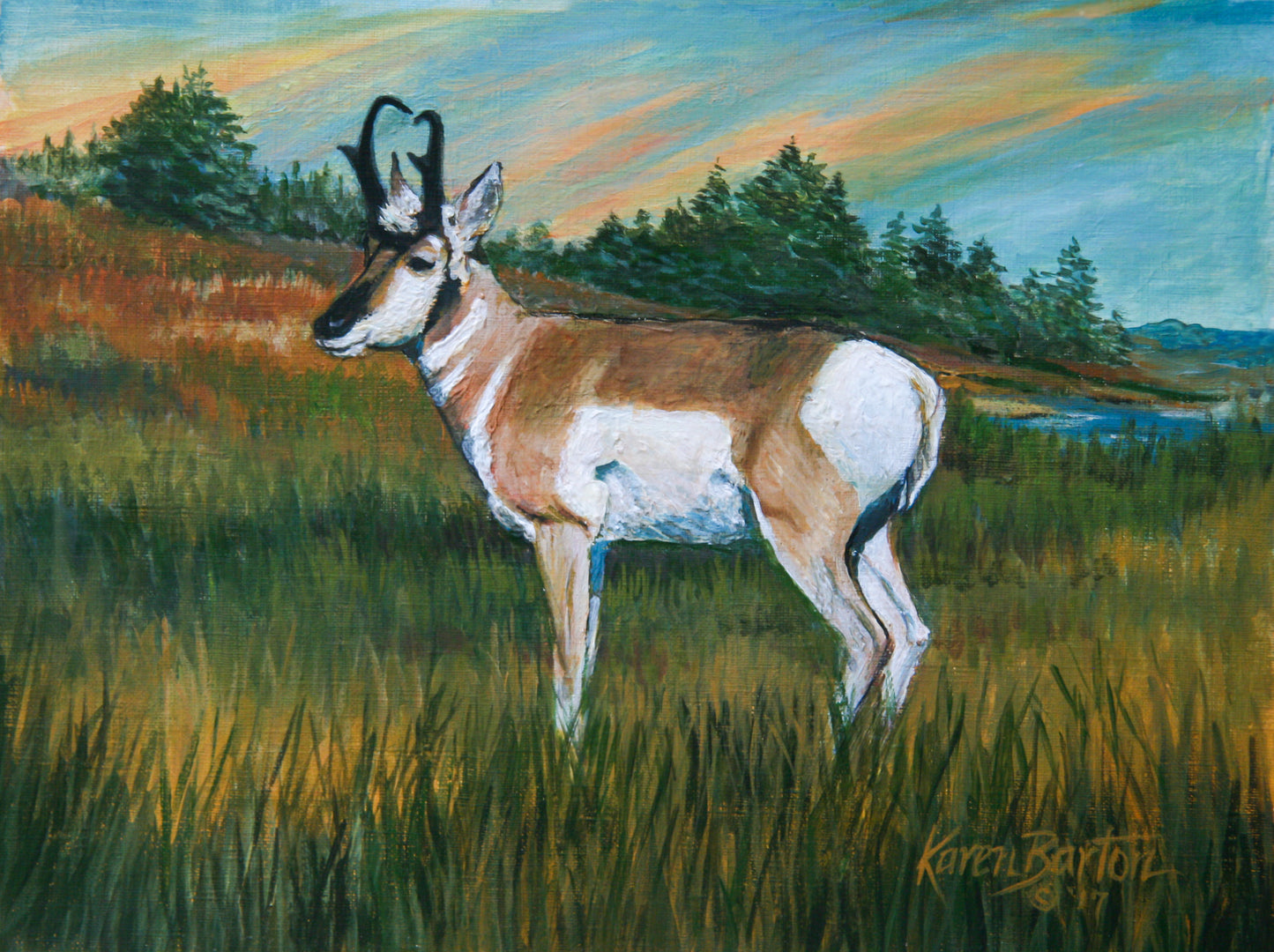 5X7 Colorful Wildlife Western Greeting Cards