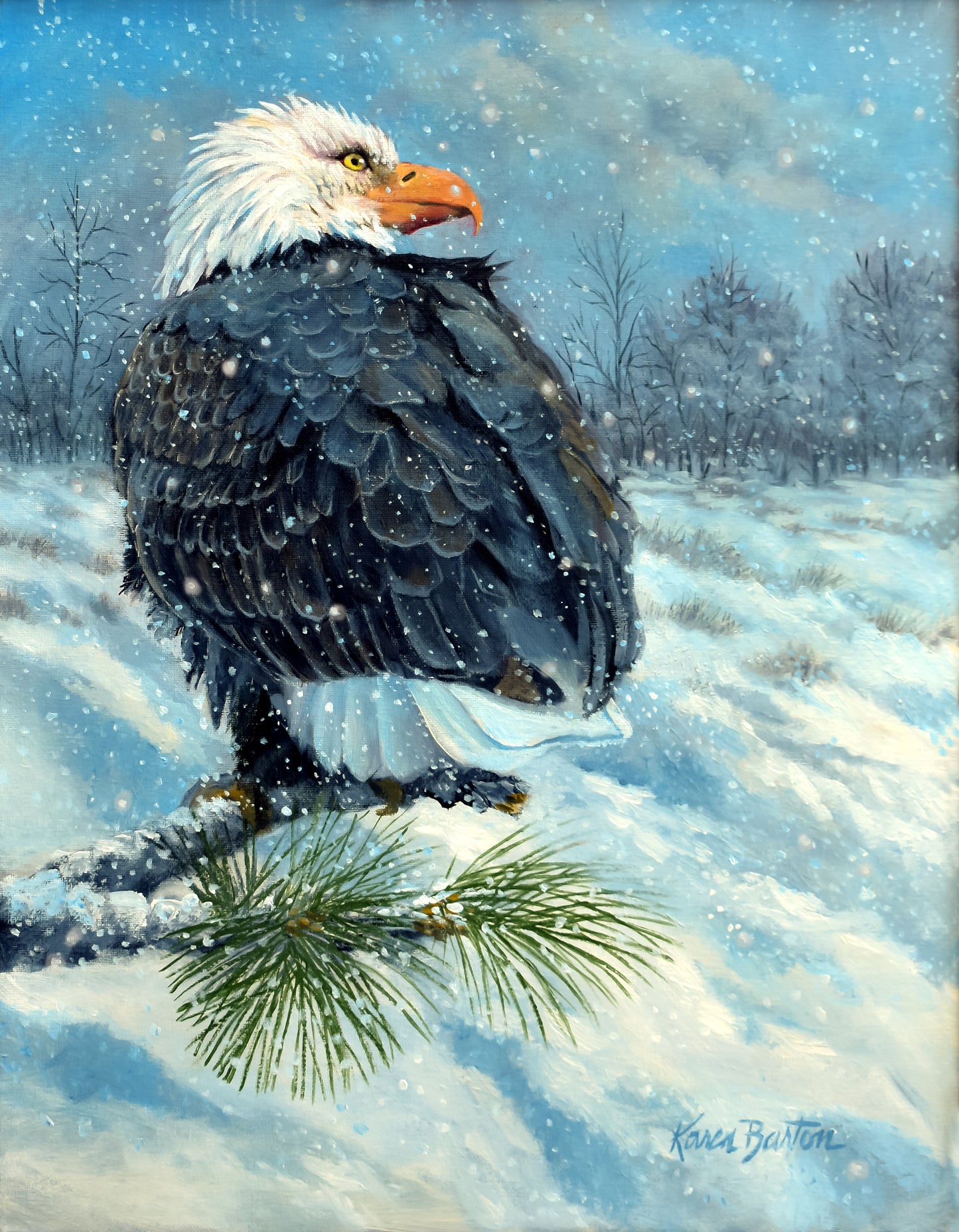 5X7 Colorful Wildlife Western Greeting Cards