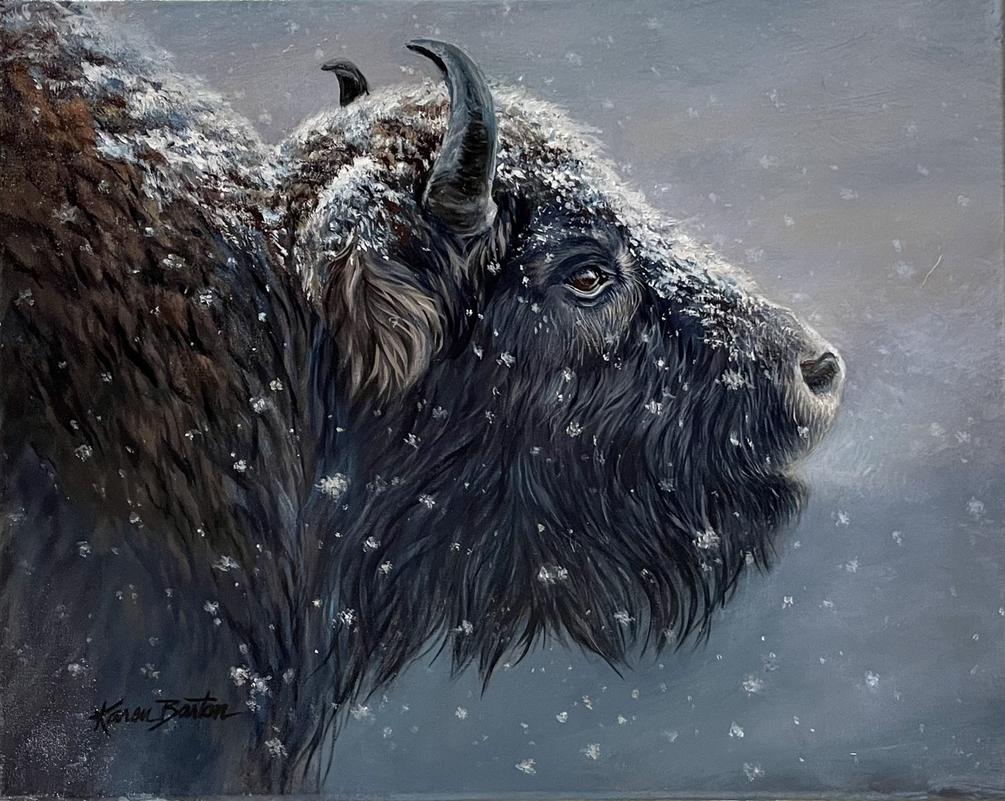 5X7 Colorful Wildlife Western Greeting Cards