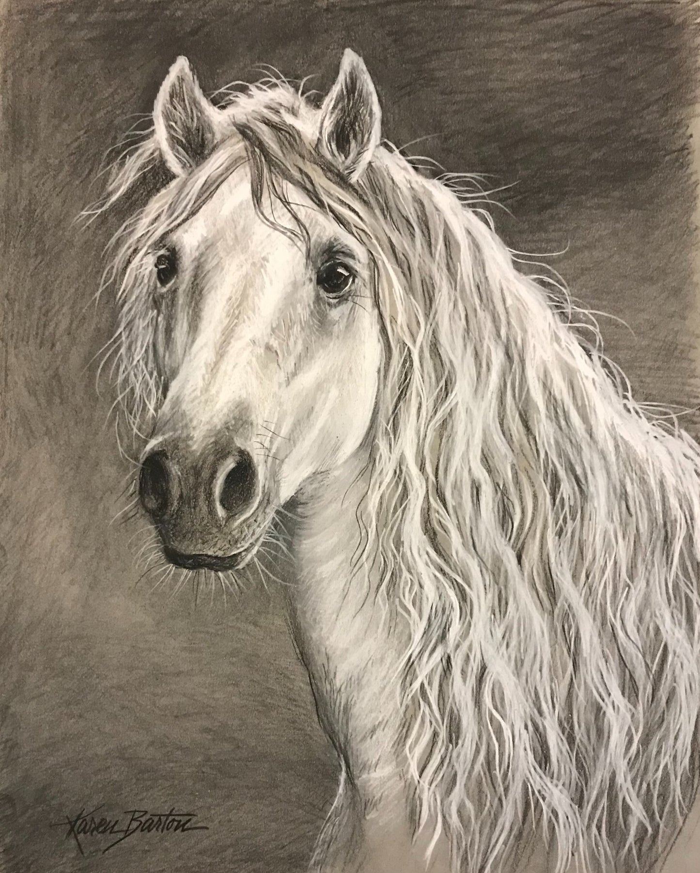 5X7 Colorful Wildlife Western Greeting Cards